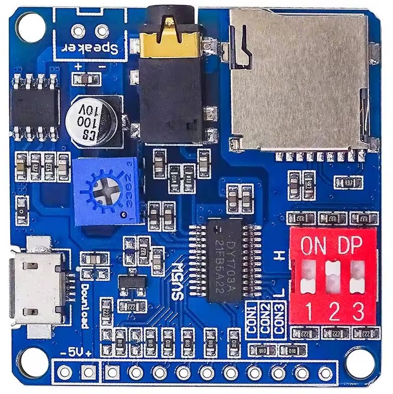 carte DY-SV5W 